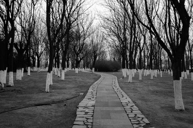 قبرستان های تهران و کرج